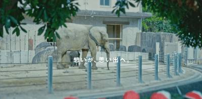 動物園編
