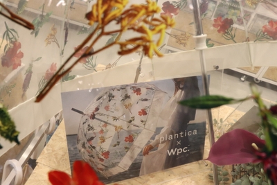 K8n2EM94vo0T2YFe6VnH.jpeg?w=940&h=940