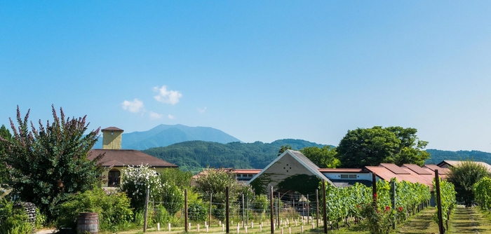 サンクゼール・ワイナリー 本店