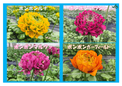 K9Mj6ImP04X7pr2TD8hN.png?w=940&h=940