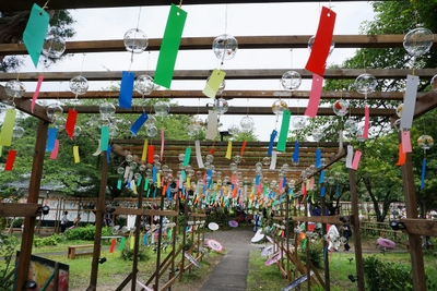 KAemjE9M25lqV5AeWQup.jpg?w=940&h=940