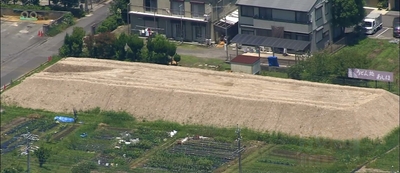 KCY7u5fST9uAc8Eb7xIt.jpg?w=940&h=940