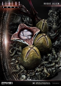 KCwJmZ9rdnmqpSM5mMIH.jpg?w=940&h=940