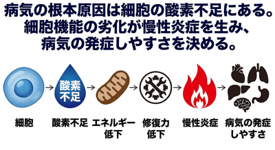 KDIMWavtIvwCXRoHfKQf.png?w=940&h=940