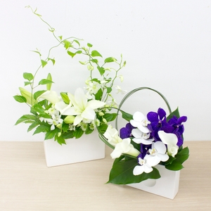 KDSCjd47m7qwpHh8DQoC.jpg?w=940&h=940