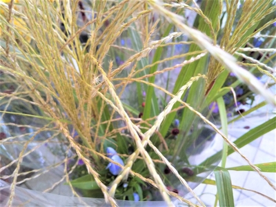 KF43b5iCPGo1ZWxtcsoc.jpg?w=940&h=940