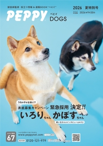 KGYquGKr25z6rx559QFA.jpg?w=940&h=940