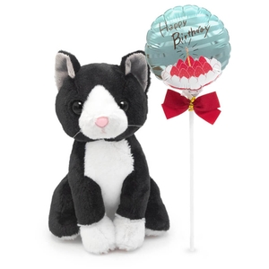 ハチワレ バルーン電報