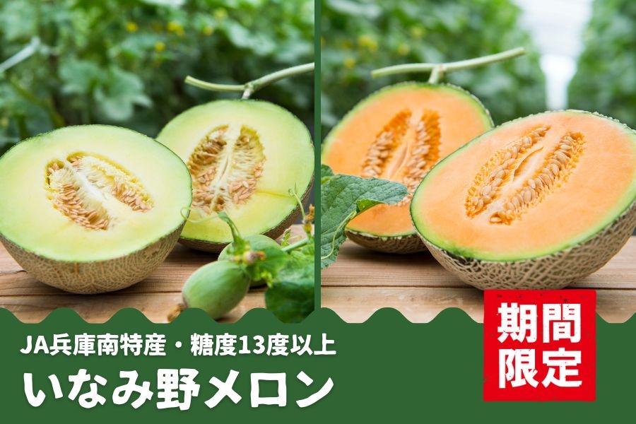 糖度13度以上! 兵庫県産「いなみ野メロン」(青肉・赤肉)の予約販売開始! 7月1日から順次発送!