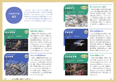 KIaq0k2scLx3hICjH0sJ.jpg?w=940&h=940