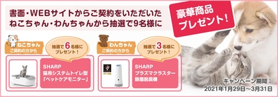 KIeK0FiABak7lXVjWGAv.jpg?w=940&h=940