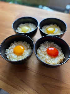 色だけでもこれだけの違いが！　