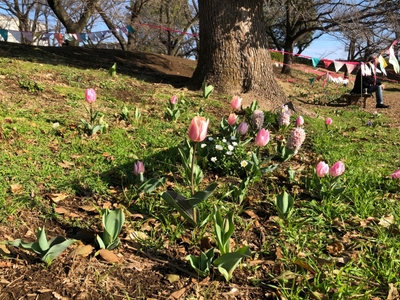 KKOZYizRVdKLhmA8fIuu.jpg?w=940&h=940