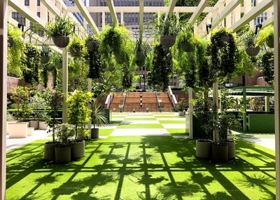 ヒビコクテラス