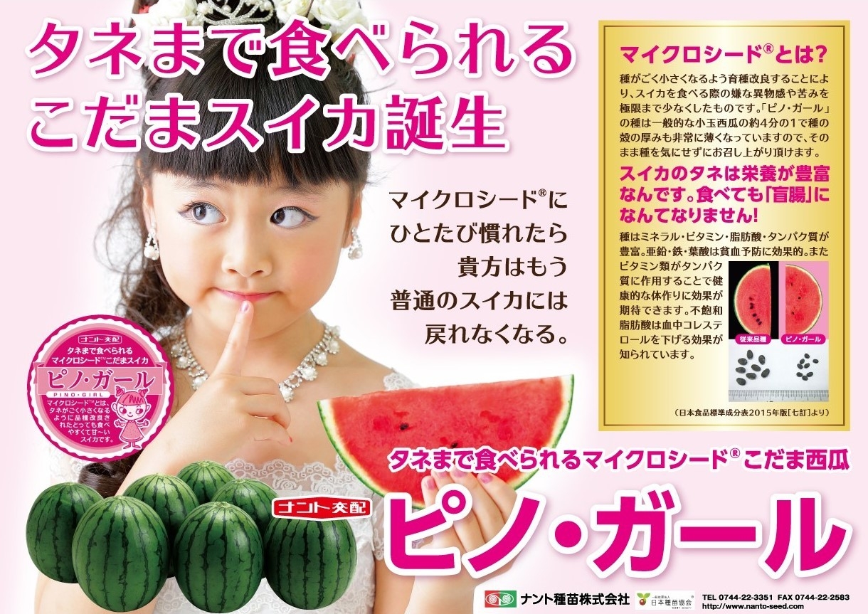 タネまで食べられる西瓜の革命！小玉スイカ「ピノ・ガール」 延べ149名
