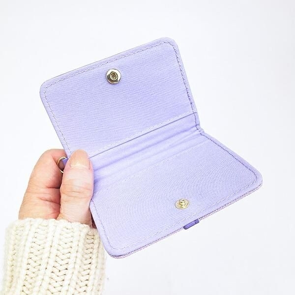 ポケモンのパスケース