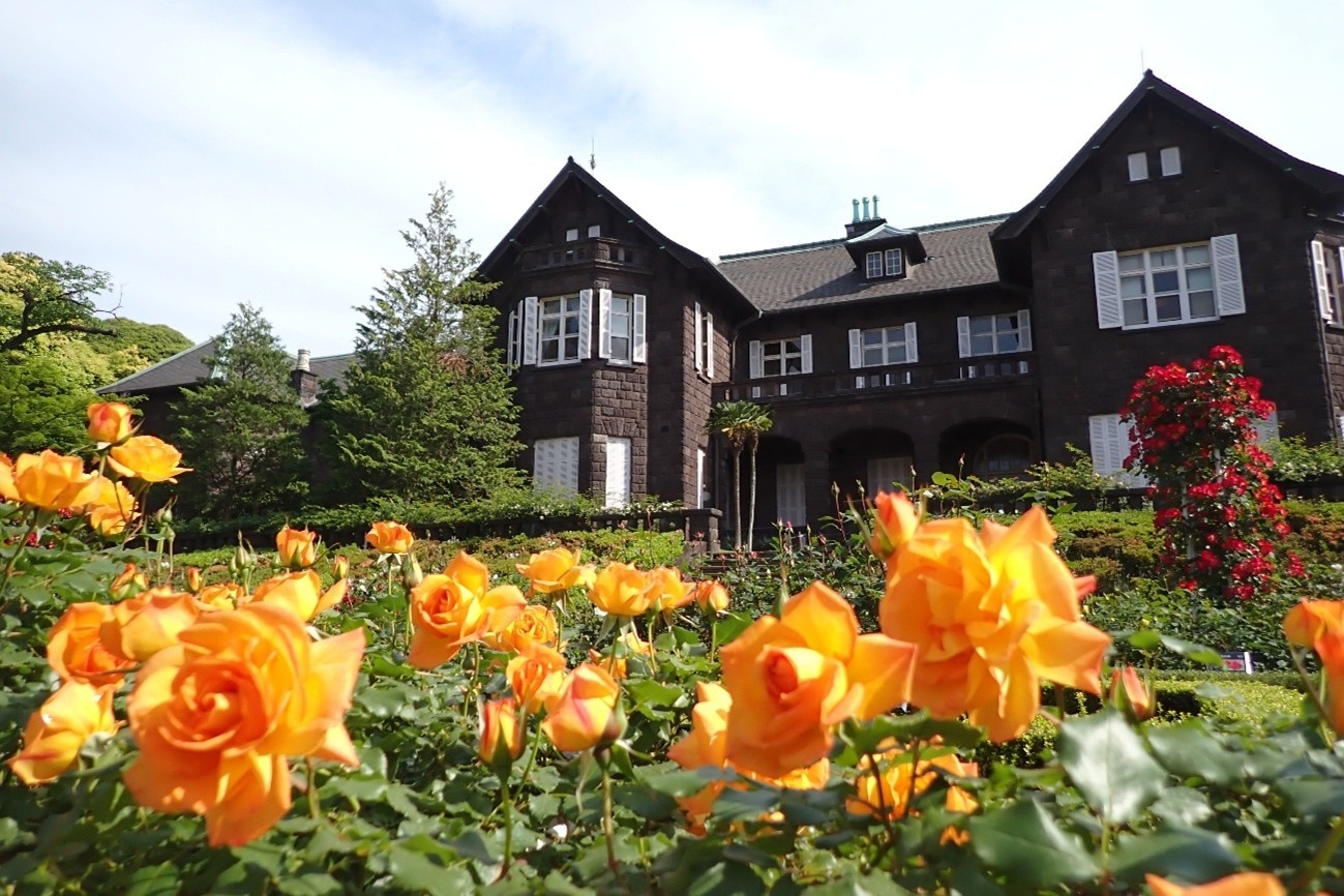 旧古河庭園　「2026春のバラフェスティバル」4/29（水・祝）～6/30(火）開催！