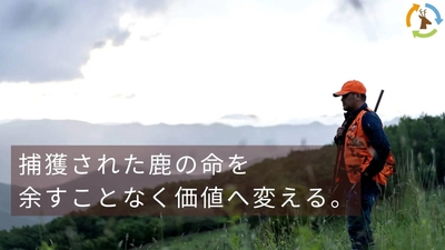 KMNCq5DAILSu8GKGpGg0.jpg?w=940&h=940