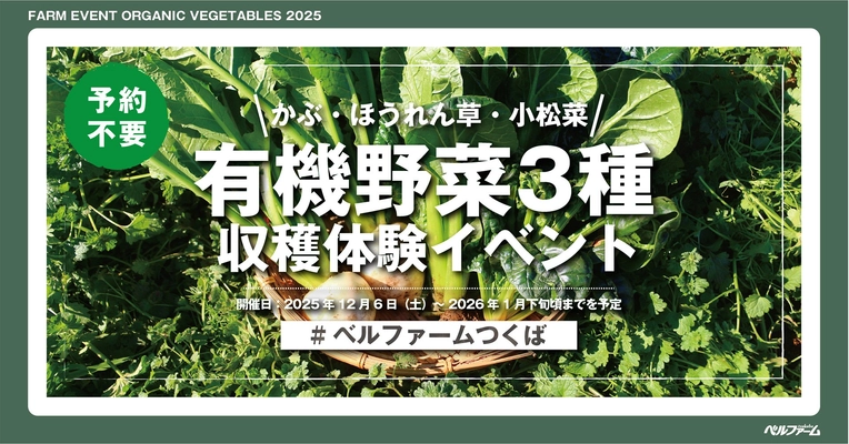 【ベルファームつくば】ベルファームの有機農場でかぶ・ほうれん草・小松菜を収穫しよう！！ 有機野菜3種収穫体験イベント2025｜期間：2025年12月6日（土）～2026年1月下旬頃までを予定