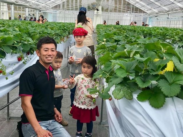 トマトの生産直売「プロモンテファーム」が 豊川市初のいちご狩り施設