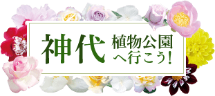 KPSUWwiO81tWAwg6jq8o.png?w=940&h=940