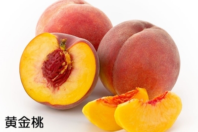 KQicX36I7ec174wjsPDc.jpg?w=940&h=940