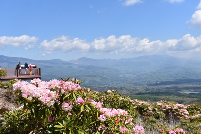 KRZpanbkW4utyoky1mpM.jpg?w=940&h=940