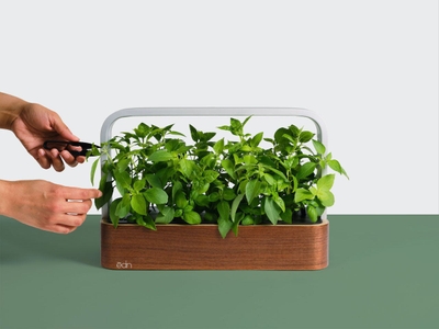 KRsV2EeZGm910hRjGiEL.jpg?w=940&h=940