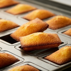 KTU2D2gmNCD2o44GLYb9.jpg?w=940&h=940