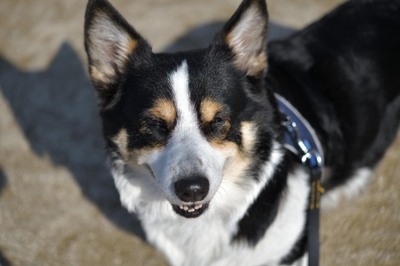 KTpewV656xe6y0Vvs2gM.jpeg?w=940&h=940