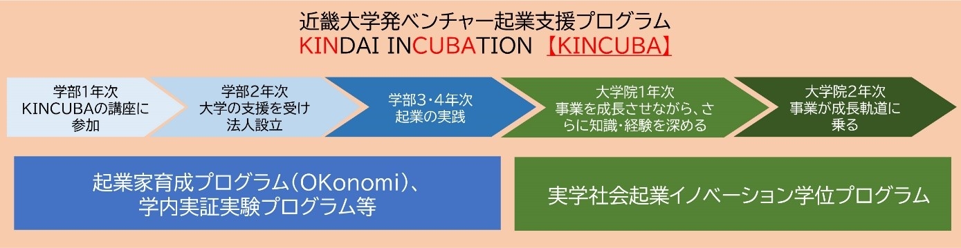 学部から大学院までのロールモデル一例