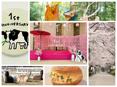 KUHBPFrkxCnLvqcS5DIf.JPG?w=940&h=940