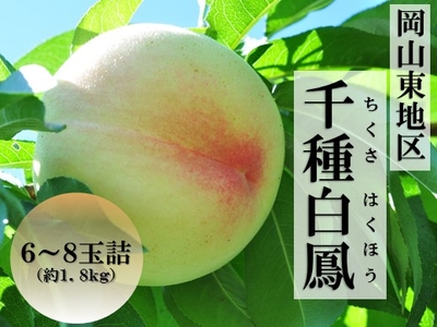 KUWPMQ6vcPFp1tqR1Osa.jpg?w=940&h=940