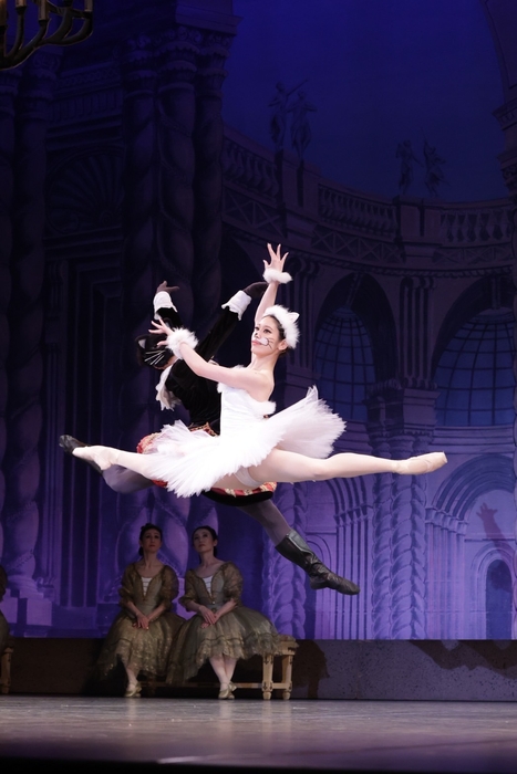 めるもバレエ講師 菜々子