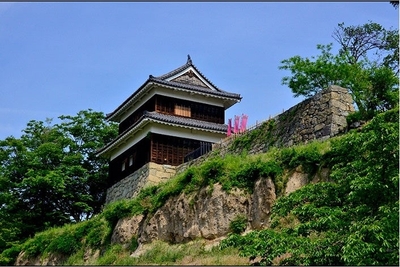 KUt0PbIi8VlhNzaj9dUU.jpg?w=940&h=940