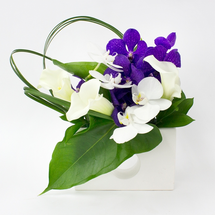 『和』のどかシリーズ MW ¥11,000(税込)