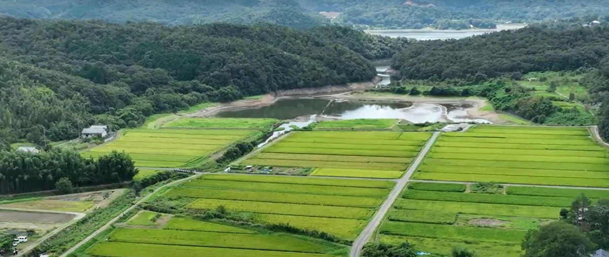 Kwnse8rovdecsw8upmrm