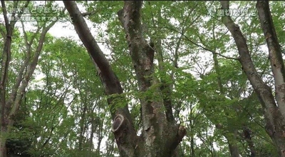 KX4fZO2SyoDWjTsFlQN0.jpg?w=940&h=940