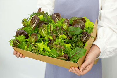 KYbuj7je6qqdDxAvW5C9.png?w=940&h=940