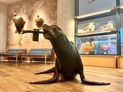 KYnDAzsHleMCa24JkqB3.jpg?w=940&h=940