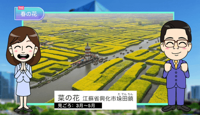 KZbD8EDRxr6yy0scVDa7.png?w=940&h=940