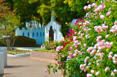 KZeNpjZkQ67PgSLKCSLR.jpg?w=940&h=940