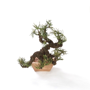 Ka3ZGZ8NA2eqpgzjrI03.jpg?w=940&h=940