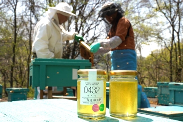 蜂蜜シーズン到来！ 2025年最初の新蜜「さくら蜂蜜」新登場　搾りたての“旬そのまま”を瓶詰め 春の訪れを告げる一本