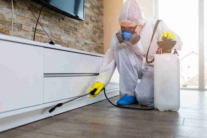 築年数が古い物件ほど、ゴキブリの発生率は高くなると勝手に思っていませんか?