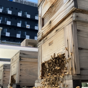 Kg27jvrXUuGpgmhguaR2.jpg?w=940&h=940