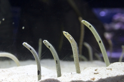 KgTiVv1JEgpdUDg9b3mo.jpg?w=940&h=940