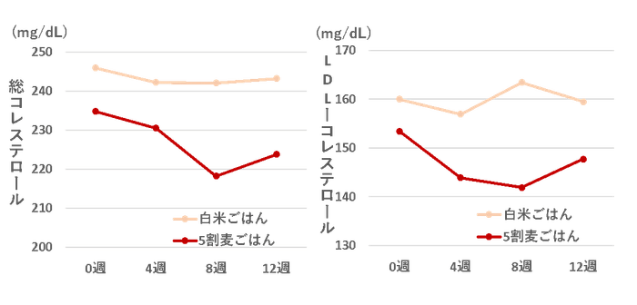 (Plant Foods Hum Nutr, 63, 1, 2 1-25, 2008)