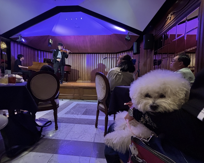 音楽を楽しむわんこ