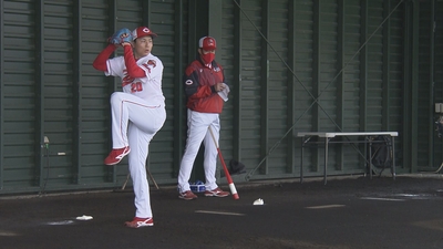 Kj80qmrQdWJI5G9Bxom4.jpg?w=940&h=940